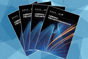 《从蓝图到伟业：中国企业数字化转型的思考与行动》